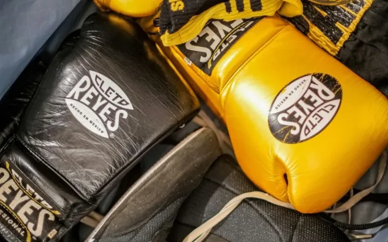 Best-Kickboxing-Gloves-Top-Brands-for-Training-Beginners-Women-Competitions