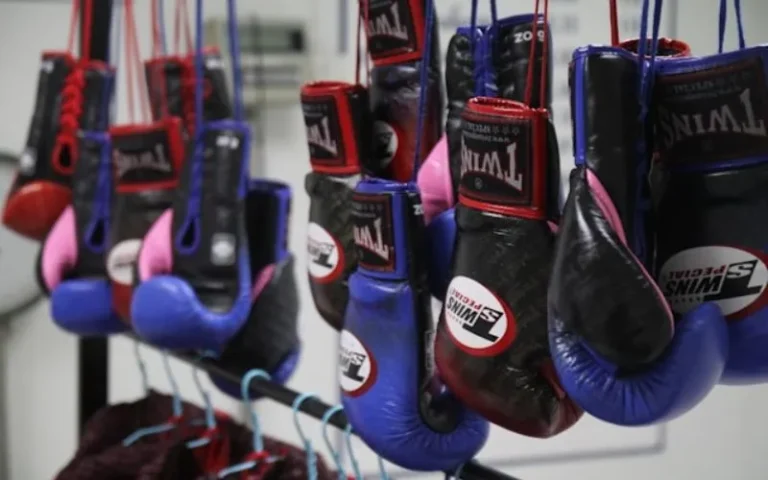 Best-Muay-Thai-Gloves-Top-Brands-Beginners-Sparring-Small-Hands-Wrist-Support-Bag-Work-Clinching-Women-Kids-Training