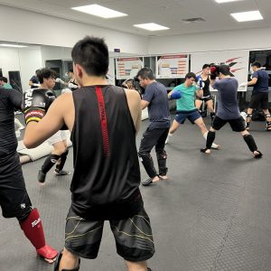 Kickboxing (16)